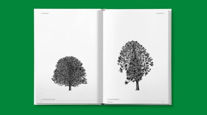 L'architettura degli alberi, Cesare Leonardi e Franca Stagi