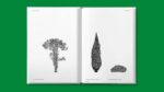 L'architettura degli alberi, Cesare Leonardi e Franca Stagi