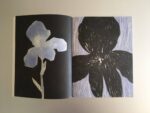 I fiori blu