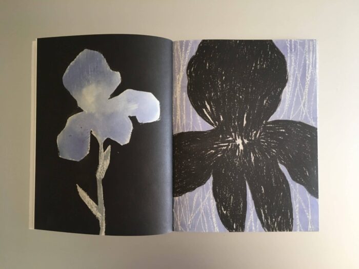 I fiori blu