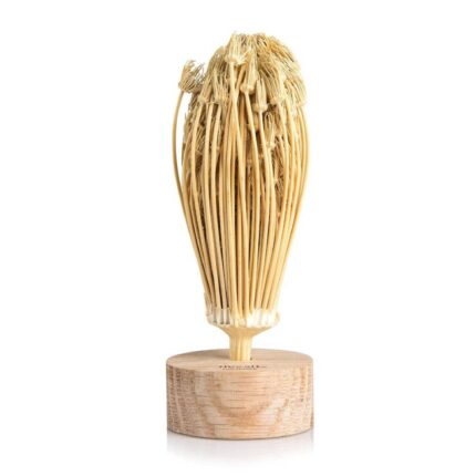 Toothpick. Stuzzicadenti marocchino