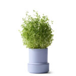 Vaso fioriera autoirrigante Billund colore lavanda