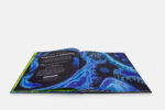 Bagliori. Le meraviglie nascoste della bioluminescenza. Libro con figure a cura di Jennifer Smith - immagine 2